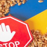 List of companies importing grain from Ukraine?  Finally this week