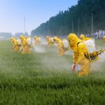 Farmers protest, defending the right to use pesticides.  And who makes money from pesticides?
