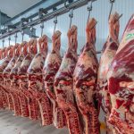 How does the global meat industry spread disinformation?  (REPORT)