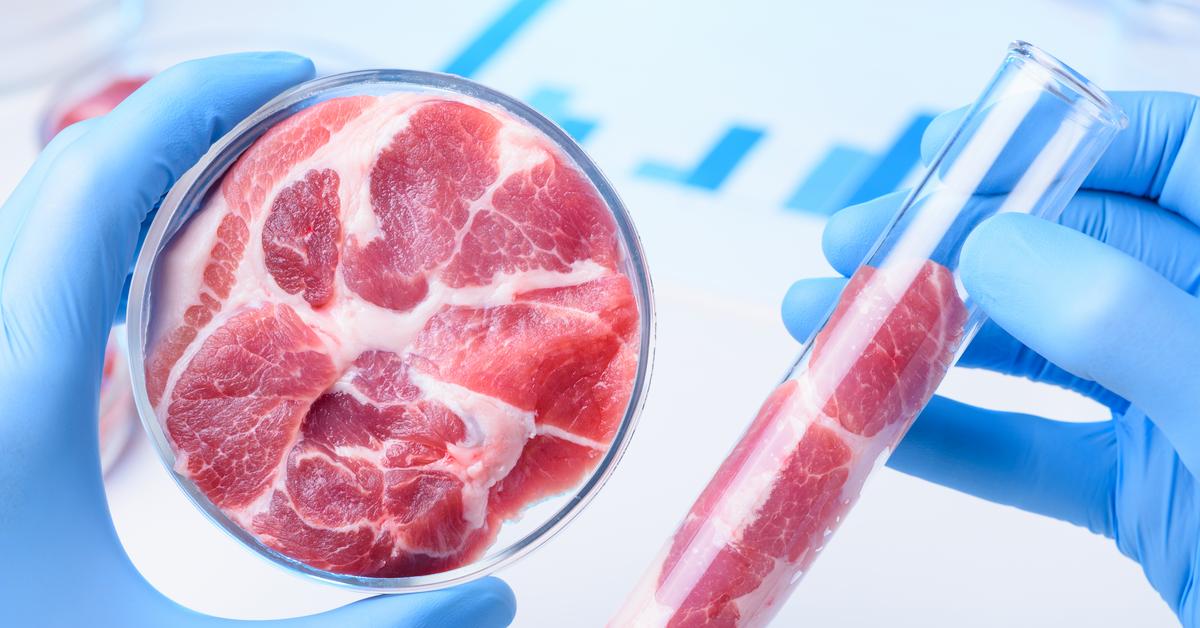 Will cell-cultured meat conquer the Polish market?